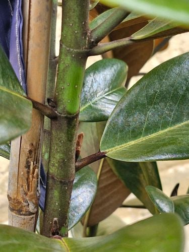 20251106_094631.jpg 20251106_094631.jpg