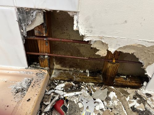 IMG_9070.jpeg IMG_9070.jpeg