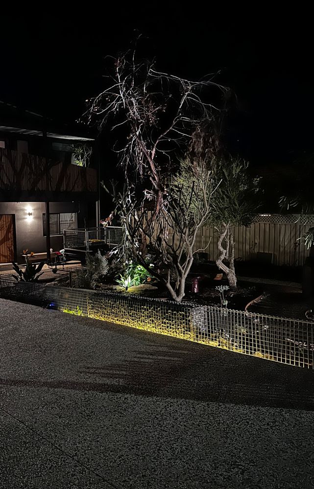 IMG_6236.jpg IMG_6236.jpg