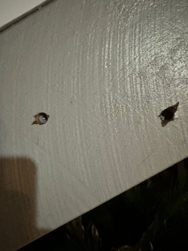 45198A78-F7B5-4BA7-95C3-C0A6382A69FD.jpeg 45198A78-F7B5-4BA7-95C3-C0A6382A69FD.jpeg