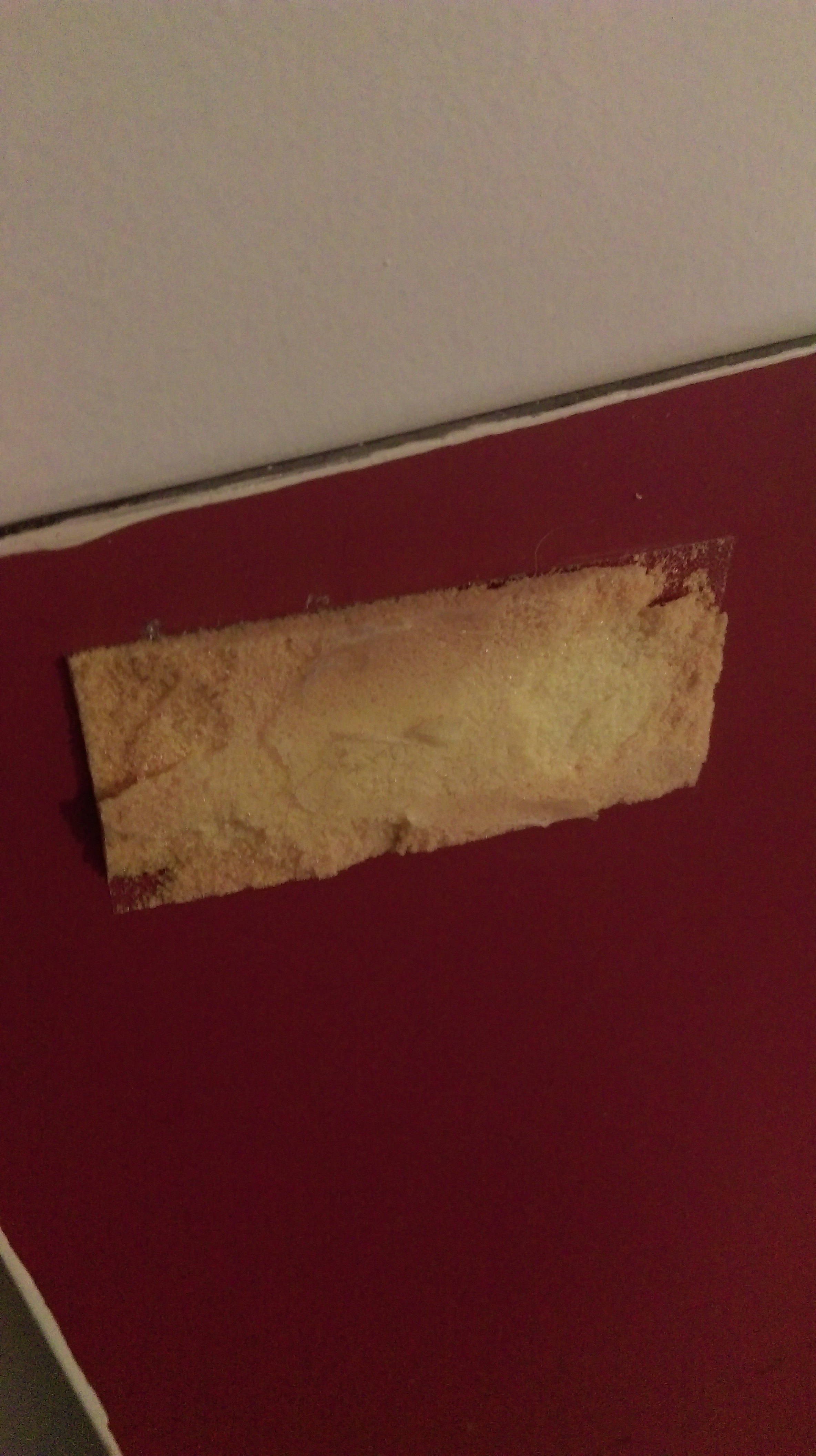 IMAG0374.jpg IMAG0374.jpg