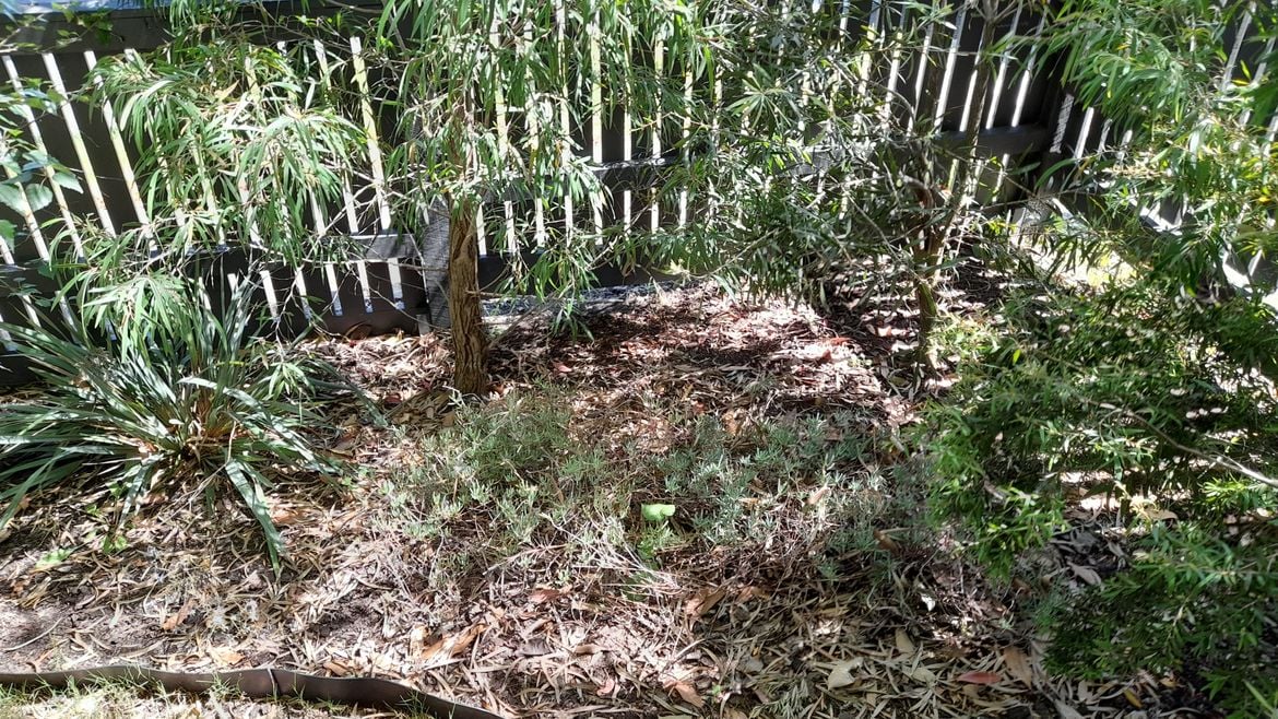 20260102_154550.jpg 20260102_154550.jpg