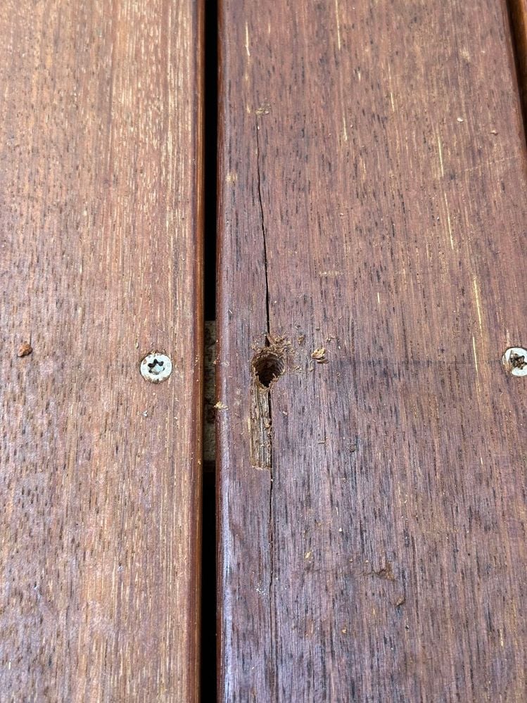 462587249_541200855390355_249690966778981774_n.jpg 462587249_541200855390355_249690966778981774_n.jpg