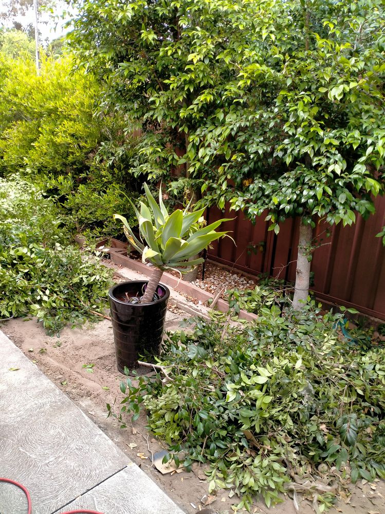 IMG20201014100713.jpg IMG20201014100713.jpg