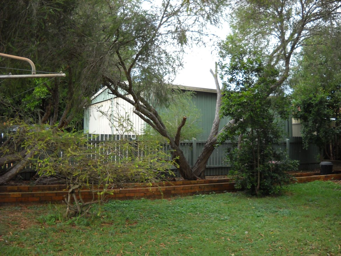 DSCN2106.jpg DSCN2106.jpg