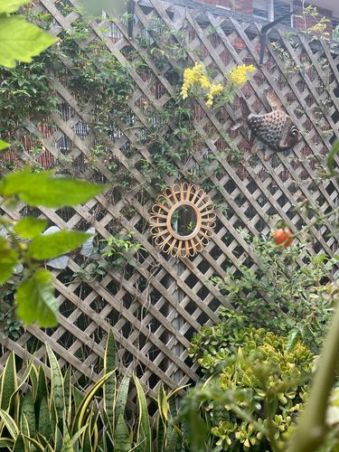 IMG_7240.jpeg IMG_7240.jpeg