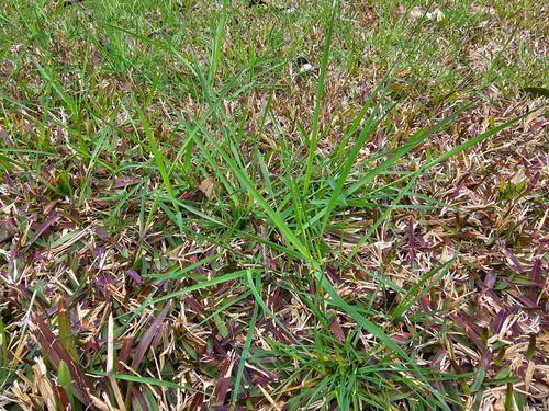 20230816_151234.jpg 20230816_151234.jpg