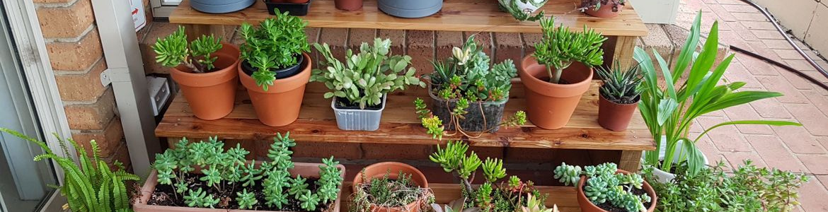 Hero Image Test Blog (5).png Hero Image Test Blog (5).png