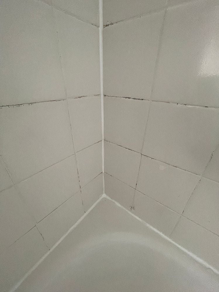 IMG_2510 copy.jpg IMG_2510 copy.jpg