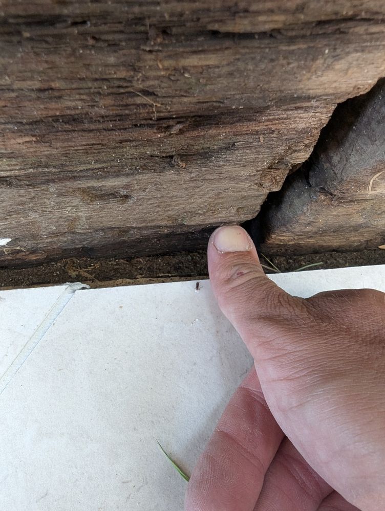 PXL_20250209_034452524.jpg PXL_20250209_034452524.jpg