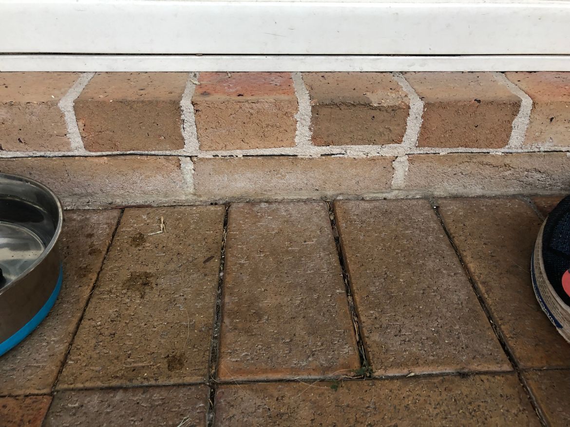 IMG_8613.jpeg IMG_8613.jpeg