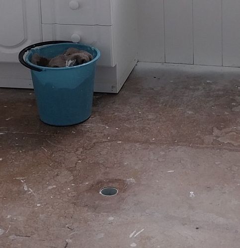 1000017593.jpg 1000017593.jpg