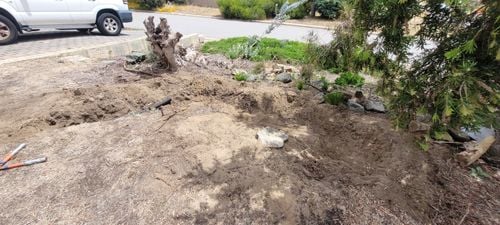 2a digging1 20241109_131827.jpg 2a digging1 20241109_131827.jpg