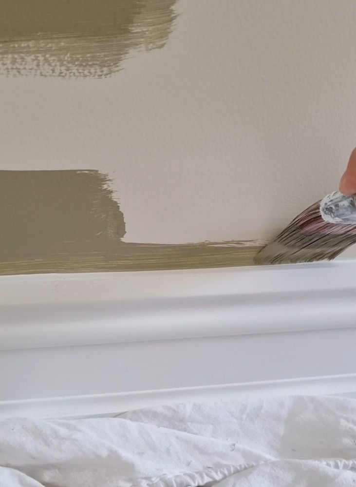 RobP_4-1724635900395.jpeg RobP_4-1724635900395.jpeg