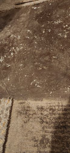 16937365105601469666664179487817.jpg 16937365105601469666664179487817.jpg