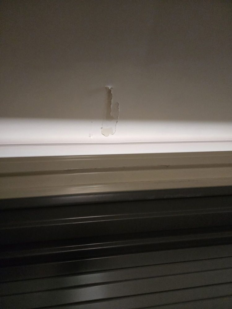 GarageCeiling.jpeg GarageCeiling.jpeg