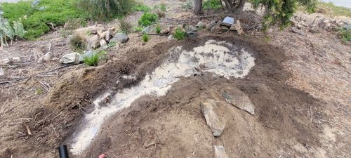 3 bentonite 20241109_133304.jpg 3 bentonite 20241109_133304.jpg