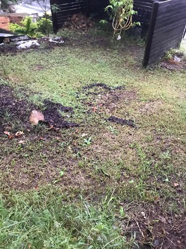 06 06-04-2024.jpg 06 06-04-2024.jpg