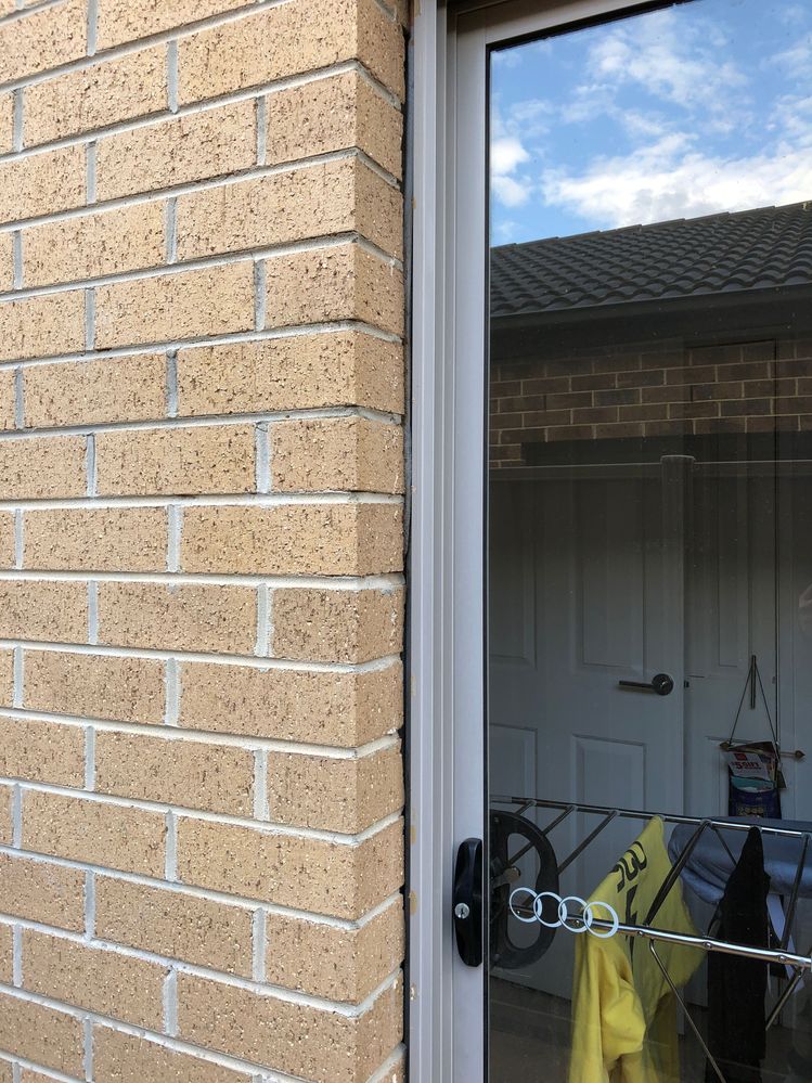 IMG_3205.JPG IMG_3205.JPG