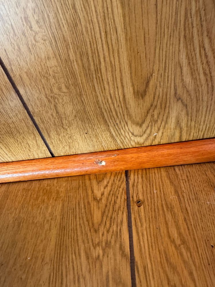 IMG_1724.JPG IMG_1724.JPG