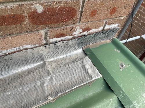 IMG_6148.jpeg IMG_6148.jpeg