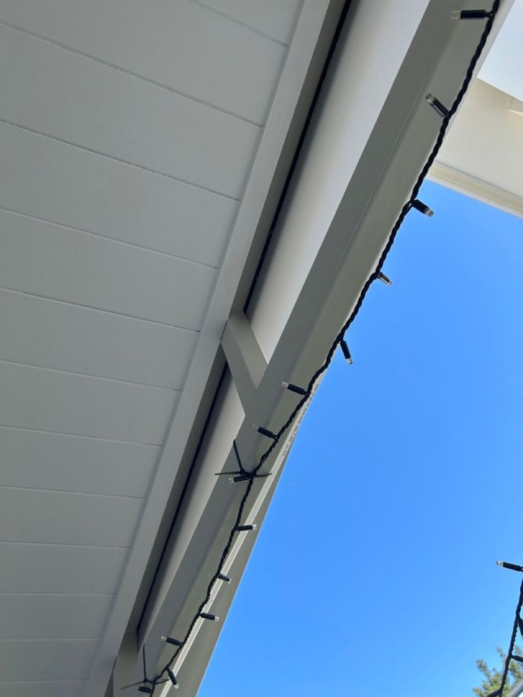 IMG_7634 Large.jpeg IMG_7634 Large.jpeg