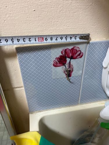 IMG_2390.jpeg IMG_2390.jpeg