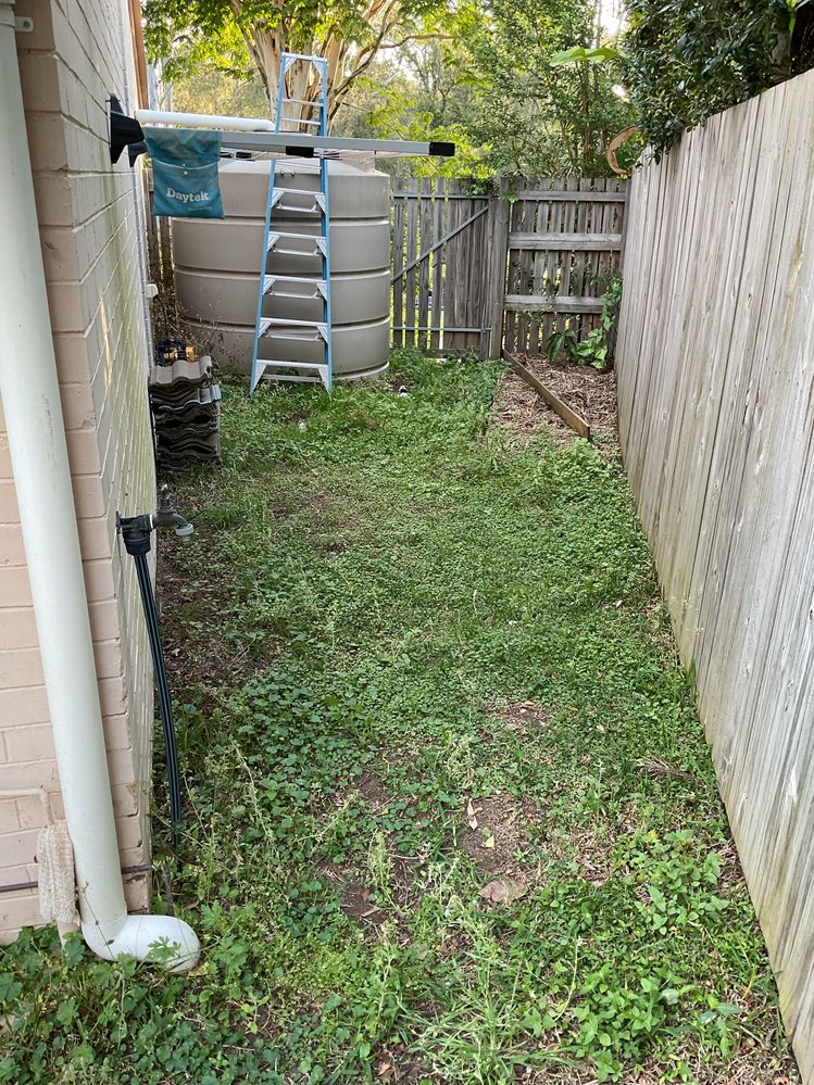 IMG_0129.jpeg IMG_0129.jpeg