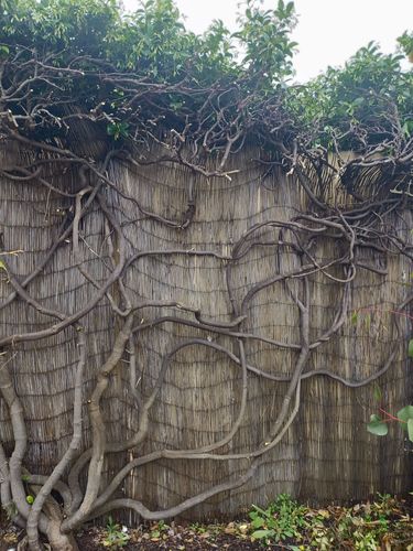 IMG20251030124516.jpg IMG20251030124516.jpg