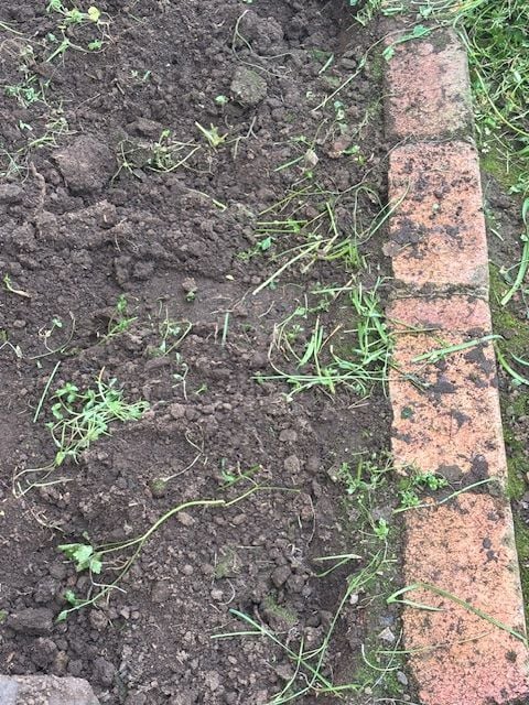 IMG_1577.jpg IMG_1577.jpg