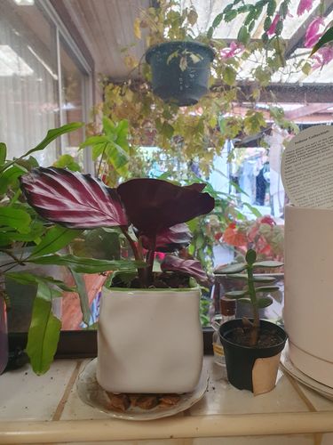 20240713_150443.jpg 20240713_150443.jpg