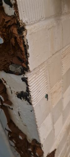 20230719_232237.jpg 20230719_232237.jpg