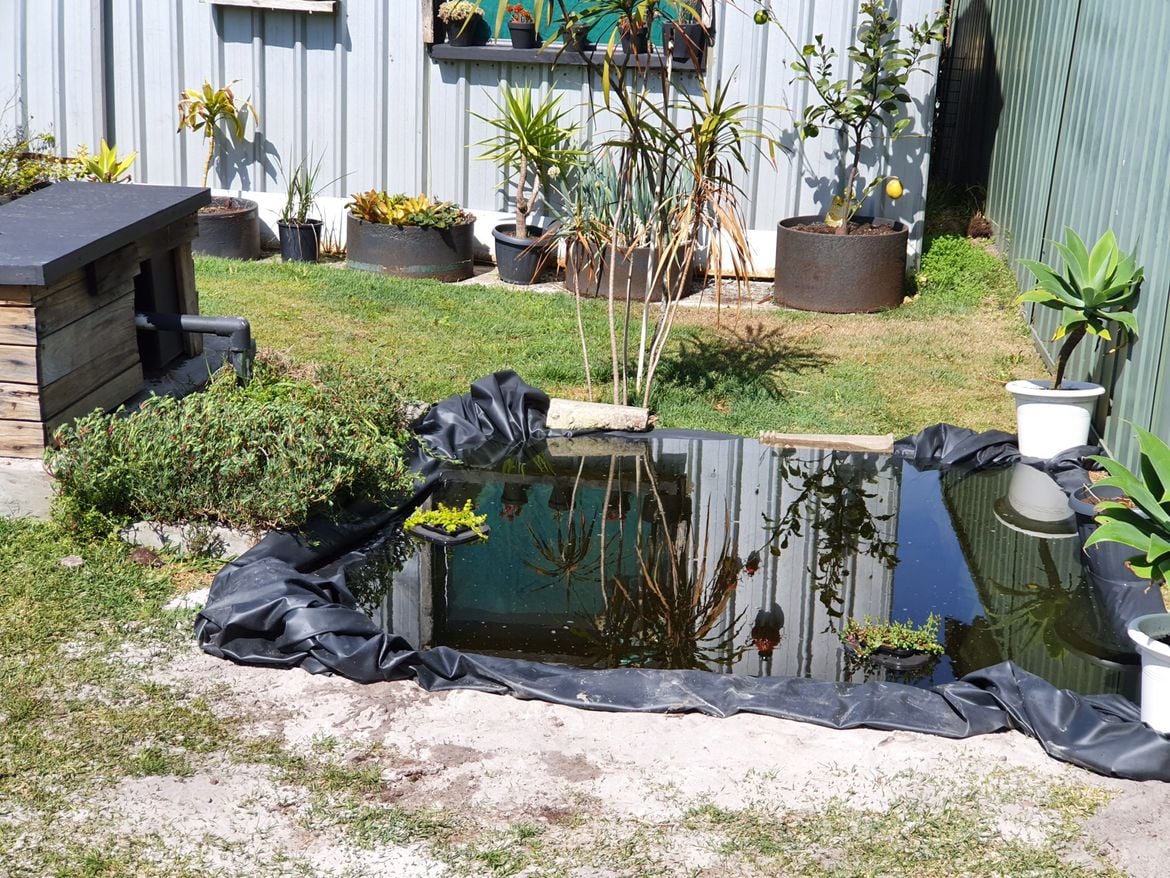 20210904_115412.jpg 20210904_115412.jpg