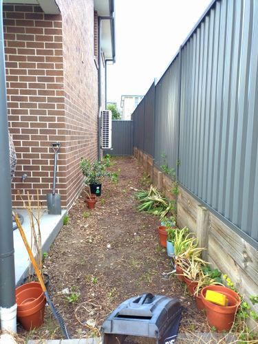 IMG_20240317_175219.jpg IMG_20240317_175219.jpg