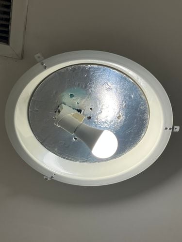 IMG_7937.jpeg IMG_7937.jpeg