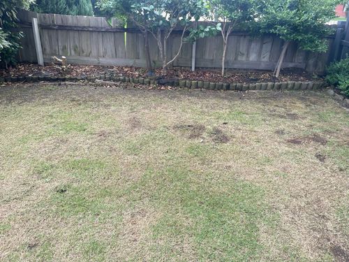 IMG_5521.jpeg IMG_5521.jpeg