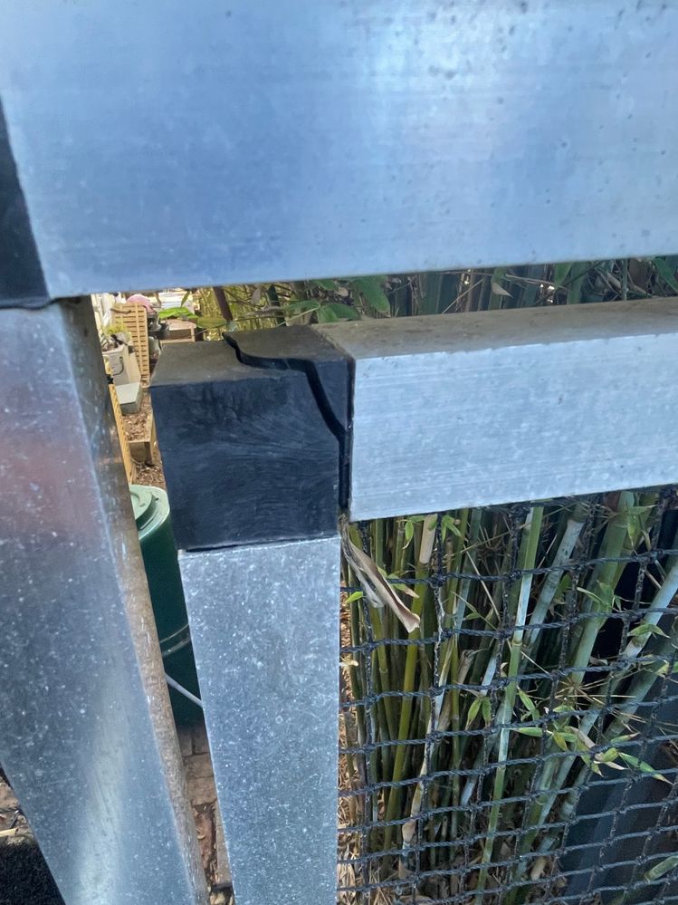 IMG_7131.jpeg IMG_7131.jpeg