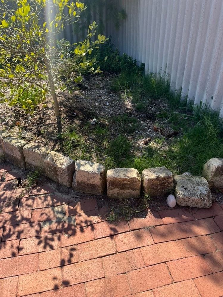 6CBC1A7C-FE7F-48F2-BB4C-A2FB1B1575E9_1_105_c.jpeg 6CBC1A7C-FE7F-48F2-BB4C-A2FB1B1575E9_1_105_c.jpeg