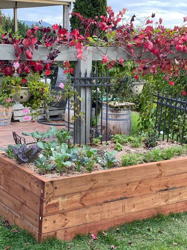 885E01C7-6F41-44B2-ACE7-3C9EDC44B460.jpeg 885E01C7-6F41-44B2-ACE7-3C9EDC44B460.jpeg