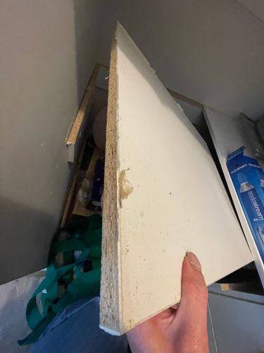 IMG_4161.jpeg IMG_4161.jpeg