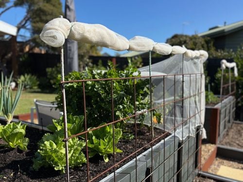 IMG_4901.jpeg IMG_4901.jpeg