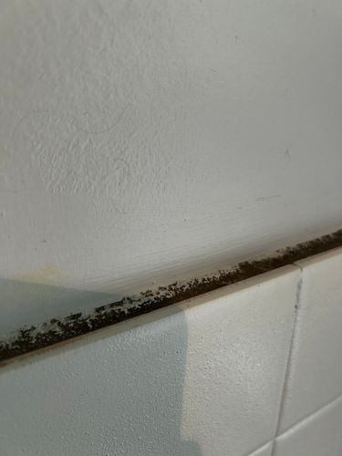 IMG_0518.jpeg IMG_0518.jpeg