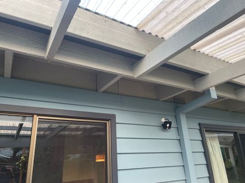 IMG_2344.jpeg IMG_2344.jpeg