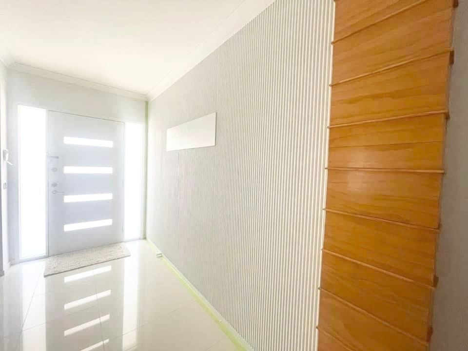 IMG-6650.jpg IMG-6650.jpg