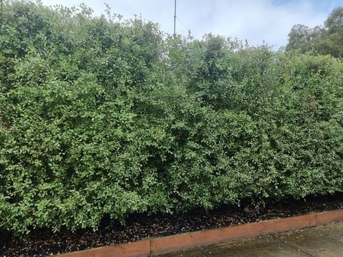 20231125_145008.jpg 20231125_145008.jpg