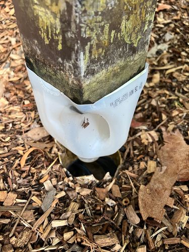 A14D5335-F97B-4391-8C8A-BAC229058D67.jpeg A14D5335-F97B-4391-8C8A-BAC229058D67.jpeg