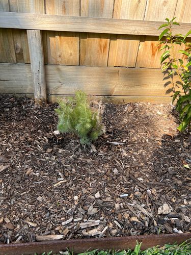 IMG_3688.jpeg IMG_3688.jpeg