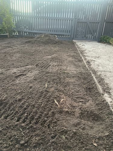 IMG_6885.jpeg IMG_6885.jpeg