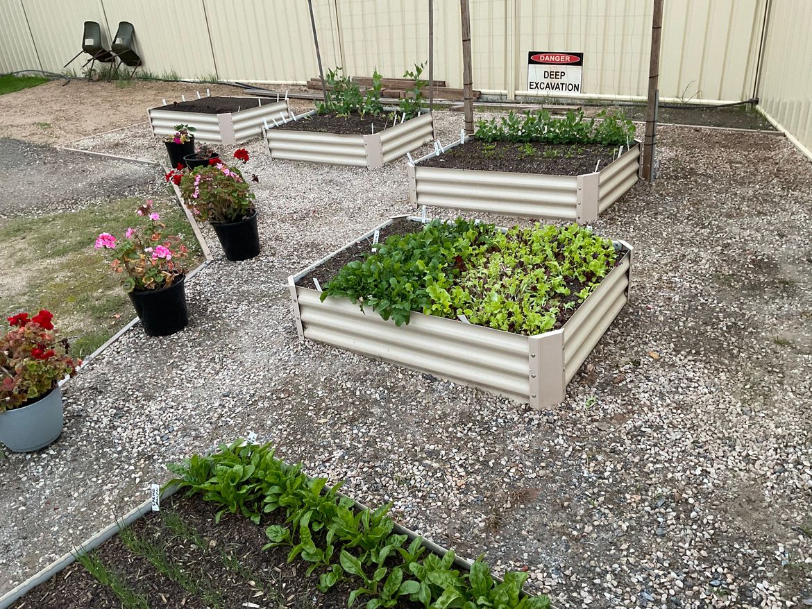 661E058E-0EE1-4DF4-8132-BB8BCCCBB6D2.jpeg 661E058E-0EE1-4DF4-8132-BB8BCCCBB6D2.jpeg