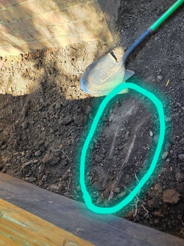 1000008471.jpg 1000008471.jpg